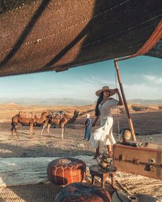 a woman in white dress and hat standing next to suitcases with camels in the background