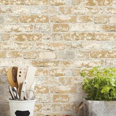 an old brick wall with utensils in a bucket next to a potted plant