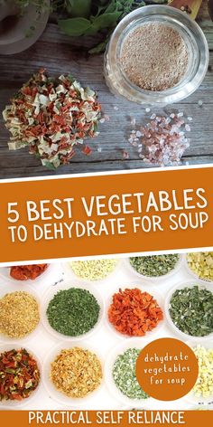 the cover of 5 best vegetables to dehydraate for soup by practical self reliance