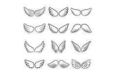 six different types of wings on a white background