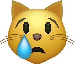 a yellow cat with a tear in its nose