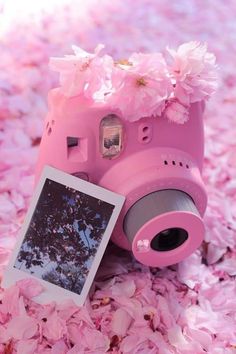 a pink camera sitting on top of flowers next to a small polaroid photo frame