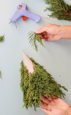 someone is using scissors to cut the branches off of their evergreen tree branch wreaths