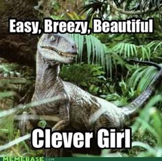 Love Jurassic park Jurassic Park Quotes, Clever Girl Jurassic Park, Park Quotes, Movie Trivia, Watch The World Burn