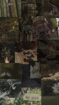 the collage shows many different images of books and plants, including trees, buildings, and other things