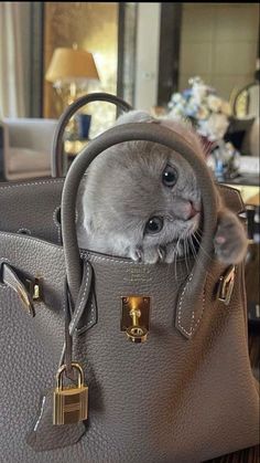 a gray cat peeking out from inside a grey handbag that is sitting on top of a table