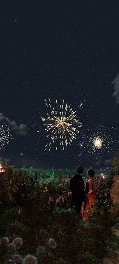 a man and woman are looking at fireworks in the night sky over a field full of flowers