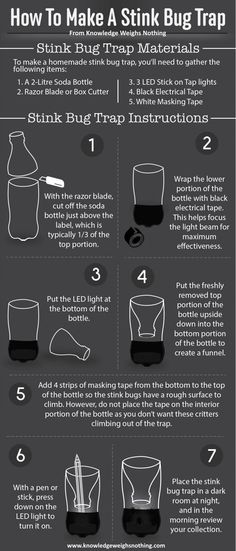 how to make a stink bag trap in minutes and less than one hour info poster