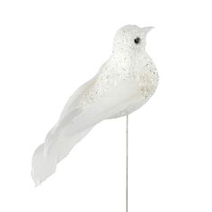 a white bird is standing on a stick