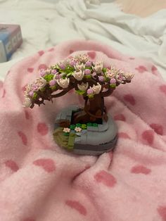 a small tree on top of a pink blanket