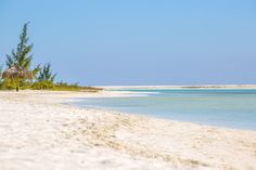 an empty beach with blue water and palm trees