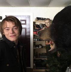 a man standing next to a large black bear in a room with shelves and decorations