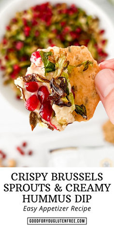 crispy brussels sprouts and creamy hummus dip with pomegranate