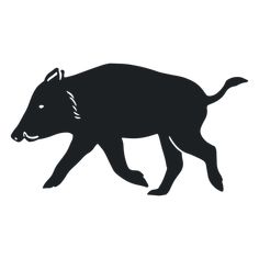 Wild boar walking silhouette PNG Design Walking Silhouette, Graphic Design Portfolio