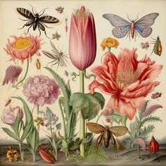 an illustration of various flowers and bugs on a white background, including one large pink flower