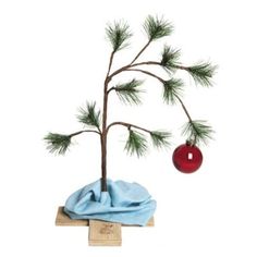 a small pine tree with a red ornament