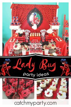 lady bug birthday party with cupcakes and treats