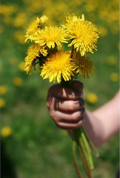 a person holding some yellow flowers in their hand