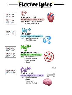 the diagram shows different types of electrical devices and their functions, including an electronic device