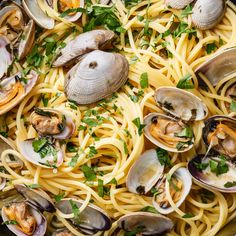 pasta with clams and parsley in a pan