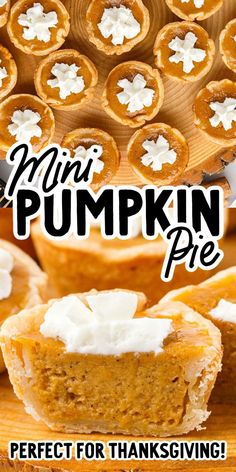 Mini Pumpkin Pies Punkin Pie Recipe, Individual Pumpkin Pie, Pumpkin Pie Muffins, Mini Pumpkin Pies Recipe, Traditional Pumpkin Pie, Mini Pie Recipes, Pumpkin Filling, Pumpkin Crunch Cake, Individual Pies