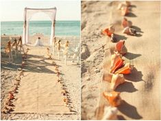 the beach is decorated with shells and chairs