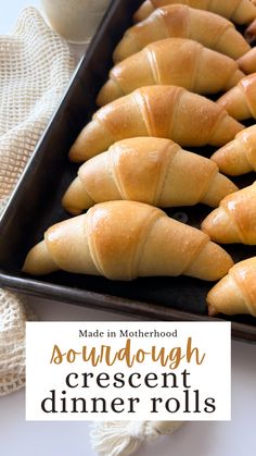 A baking sheet lined with sourdough crescent dinner rolls, fresh from the oven. Fall Sourdough, Crescent Dinner Rolls, Sourdough Dinner, Crescent Rolls Recipe, Sourdough Dinner Rolls, Homemade Crescent Rolls, Recipe Using Sourdough Starter, Sourdough Rolls, Sourdough Starter Discard Recipe