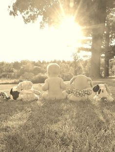 there are many stuffed animals sitting in the grass with trees in the backround