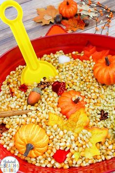 a red bowl filled with corn, pumpkins and other autumn decorations on top of a wooden table