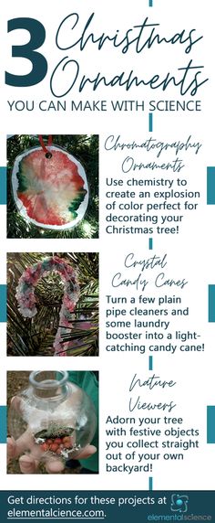 the three christmas ornaments you can make with science