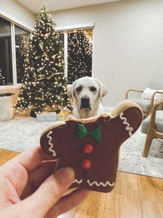 a person holding a dog in front of a christmas tree and a decorated gingerbread