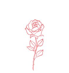 a single rose is drawn in red ink on a white paper with the word love written below it