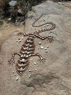 a lizard that is sitting on some rocks