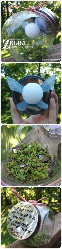 three different views of the inside of a glass bowl with moss growing in it and on top