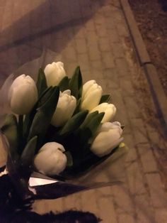 a bouquet of white tulips sitting on the ground