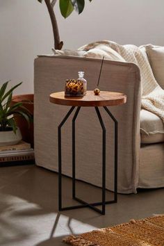 a living room with a couch, coffee table and potted plant on the side