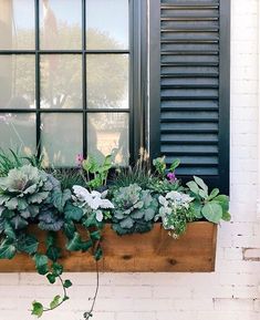 a window box filled with lots of green plants