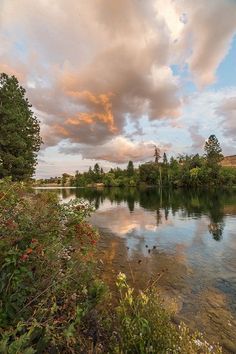 the sky is reflected in the calm water on this beautiful day with clouds and trees