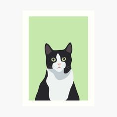 a black and white cat with green eyes on a light green background art board print