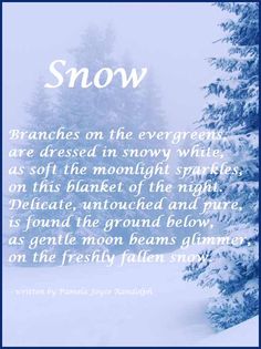 a poem written in the snow on a snowy day with trees and sky behind it