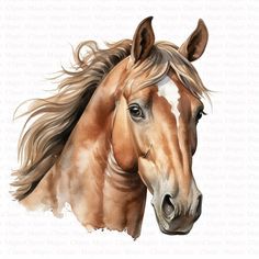 a brown and white horse with long hair