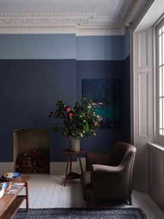 a living room filled with furniture and a potted plant on top of a table