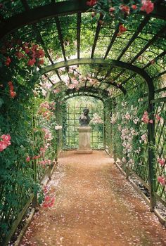 an archway with roses growing on the sides