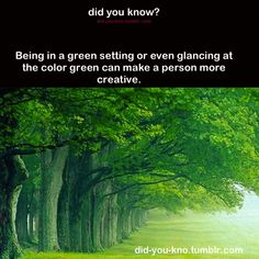 a green forest with trees and the words, did you know? being a green setting or even glancing at the color green can make a person more creative