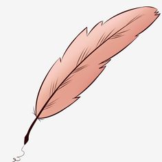 a pink feather quill on a white background, transparent png and psd