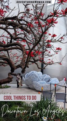 a tree with red flowers in the background and text overlay that reads cool things to do downtown los angeles