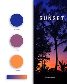 an image of the cover of a book with different colors on it and palm trees in the background