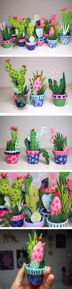 several different kinds of succulents in small bowls on shelves with one being held up