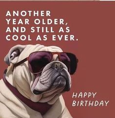 a pug dog wearing sunglasses on top of a birthday card with the words another year older, and still as cool as ever