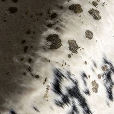 an animal print pattern is shown on the fur of a cow's head and neck